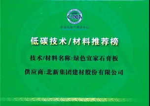 龙牌绿色宜家 引领家装环保新风尚的专业技术推广